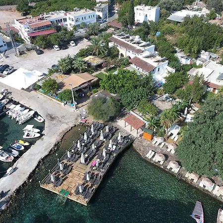 Velena * Göltürkbükü