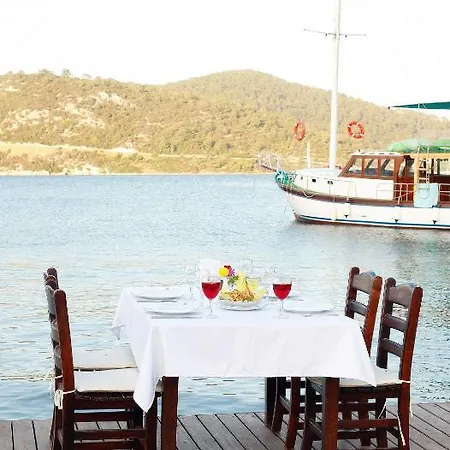 Velena * Göltürkbükü