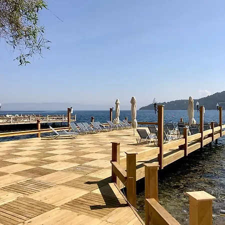 Velena