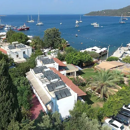 Velena * Göltürkbükü