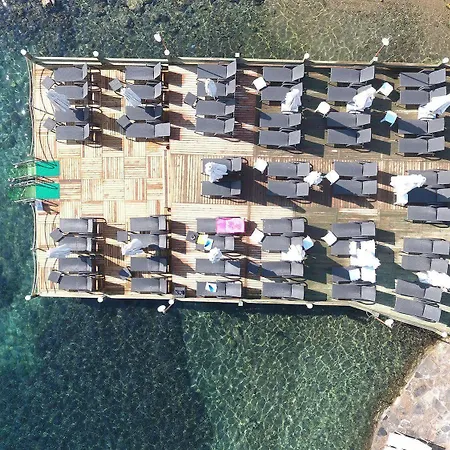 Hotel Velena