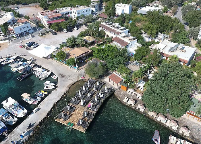 Velena * Golturkbuku